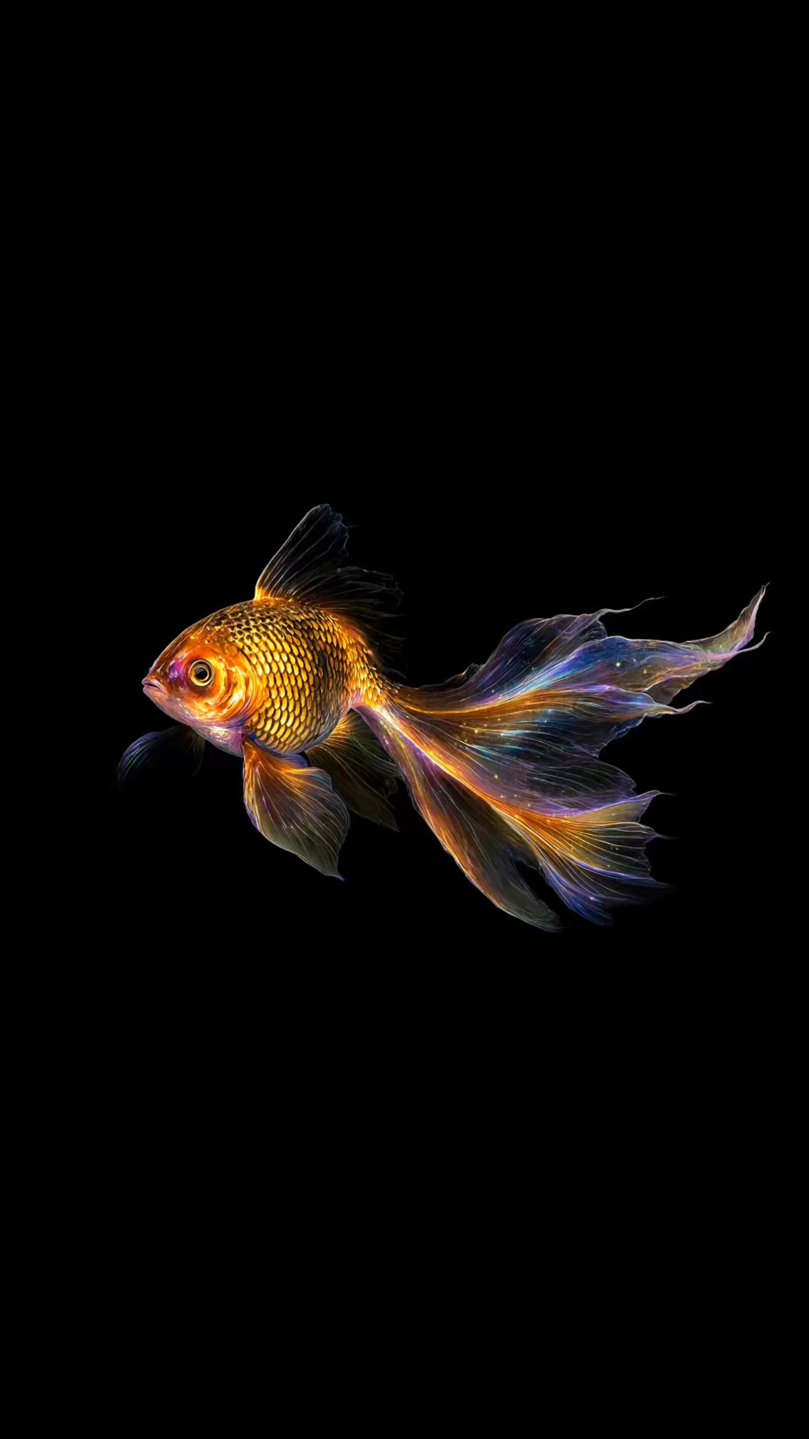 Golden fish with flowing, shimmering fins against a black background